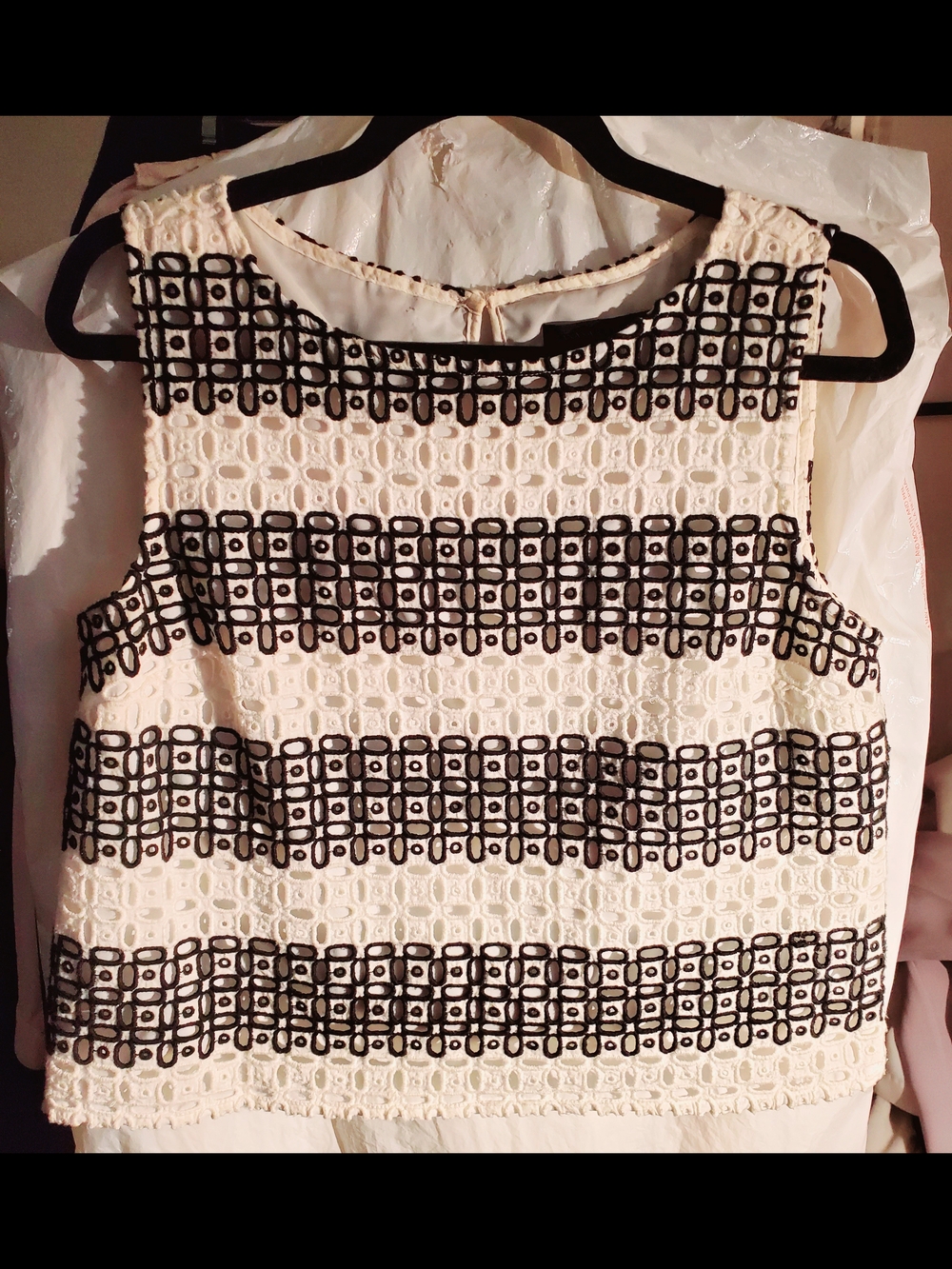 Banana Republic Cream Lace Sleeveless Top with Black Embroidered Stripes